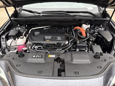 Certified 2024 Lexus NX 350h AWD w/ Cold Area Package image 34