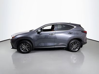 Used 2024 Lexus NX 350 AWD w/ Cold Area Package