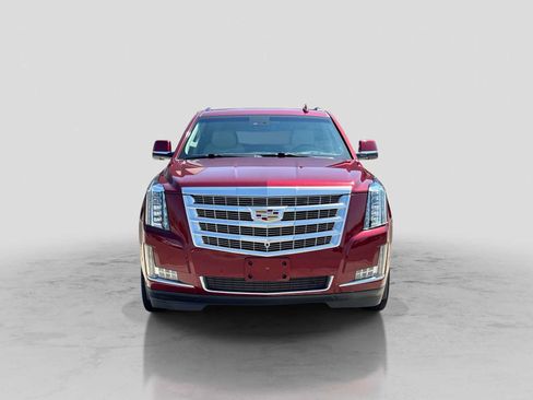 Used 2019 Cadillac Escalade Luxury w/ LPO, Radiant Package AWD/4WD image 9