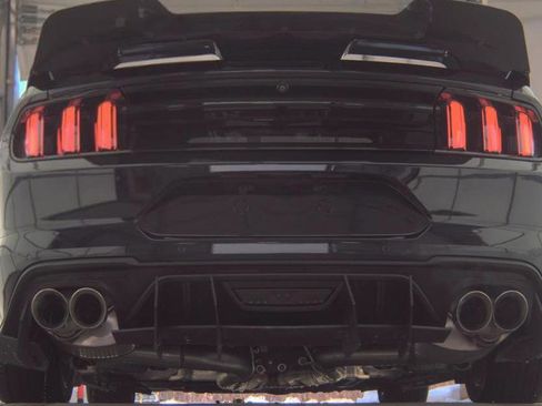 Used 2021 Ford Mustang GT w/ Equipment Group 301A image 8