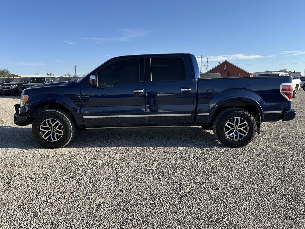 Used 2009 Ford F150 Platinum AWD/4WD image 6