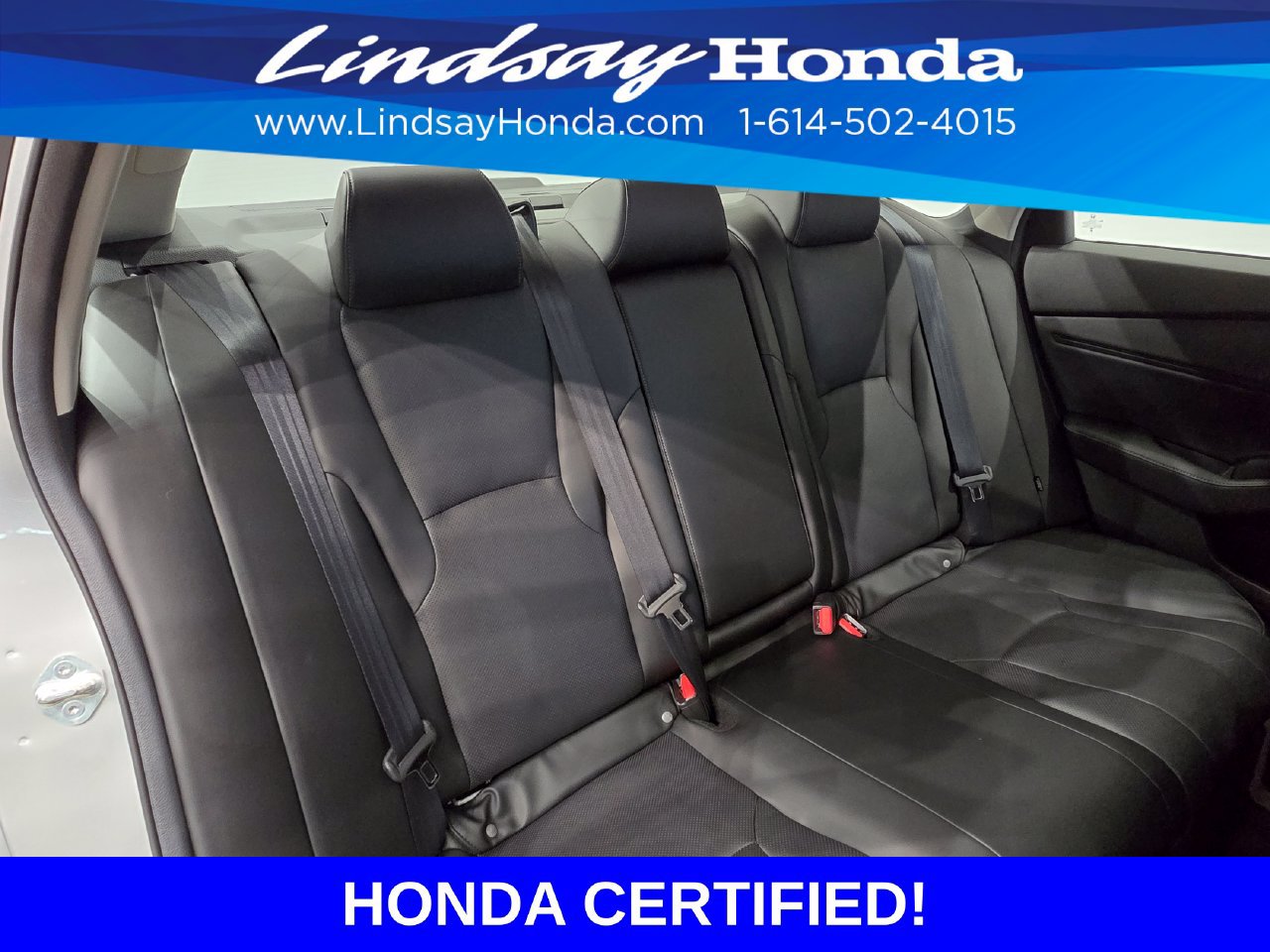 Certified 2024 Honda Accord Touring image 9