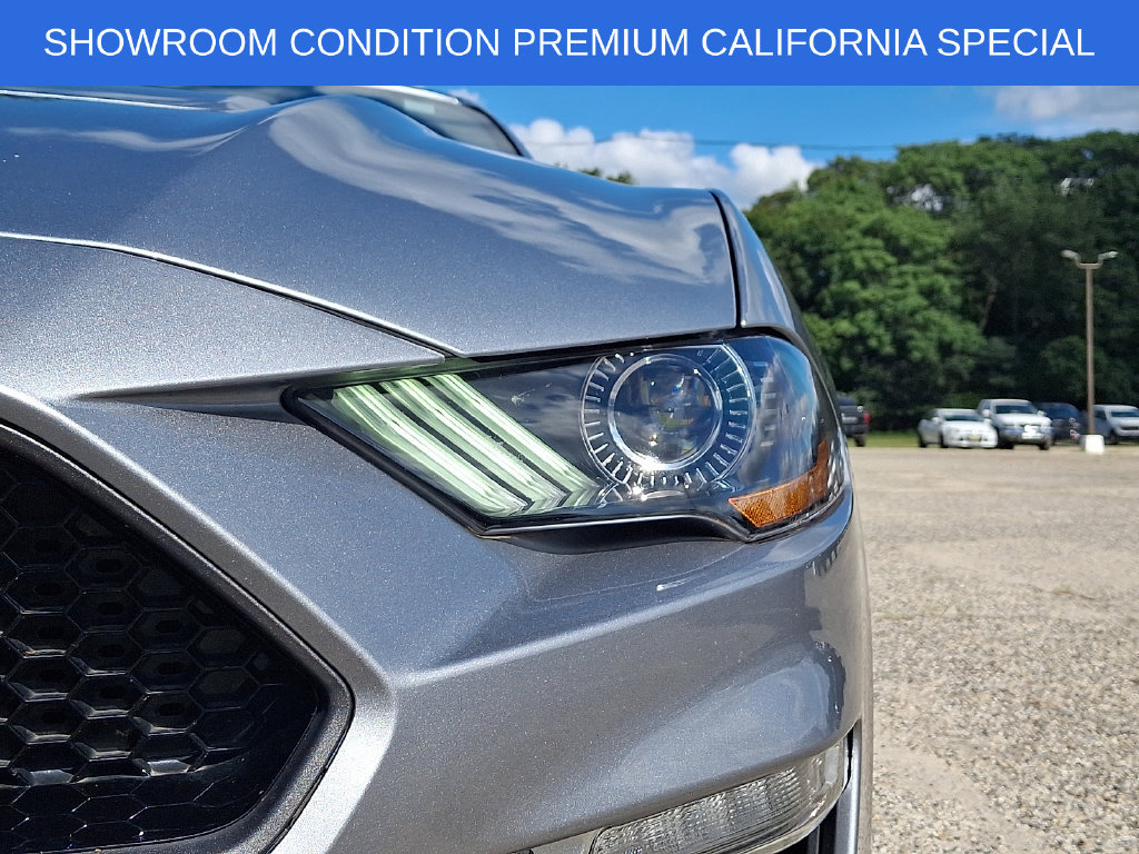 Used 2022 Ford Mustang GT Premium w/ Equipment Group 401A RWD image 9
