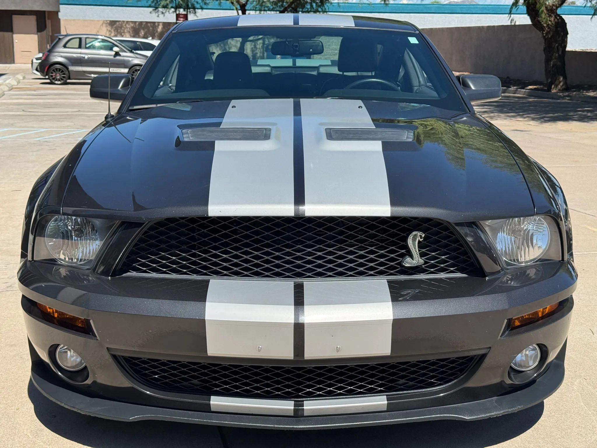 Used 2008 Ford Mustang Shelby GT500 RWD image 3
