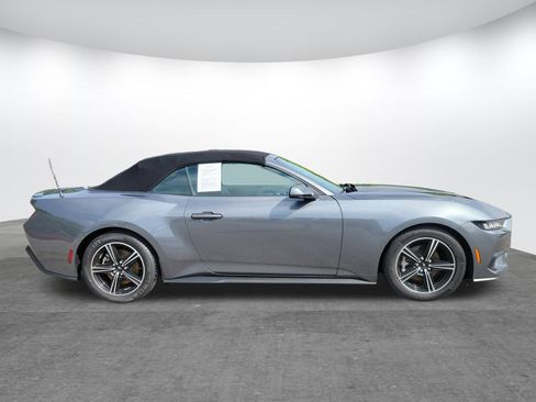 Used 2025 Ford Mustang Premium RWD image 2