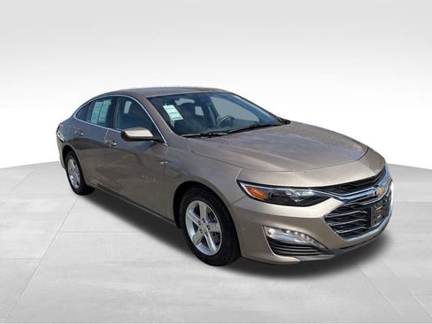 Used 2024 Chevrolet Malibu LT FWD image 8