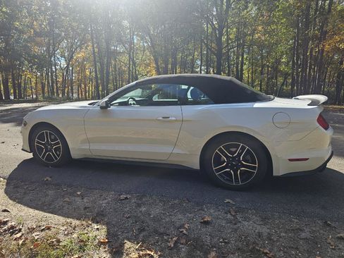 Used 2018 Ford Mustang Premium RWD image 9