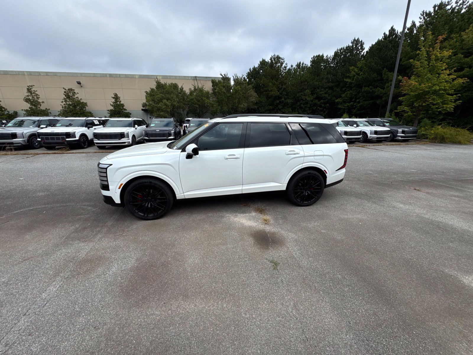 Used 2026 Hyundai Palisade Calligraphy FWD image 2