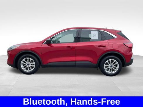 Used 2022 Ford Escape SE w/ Convenience Package FWD image 2