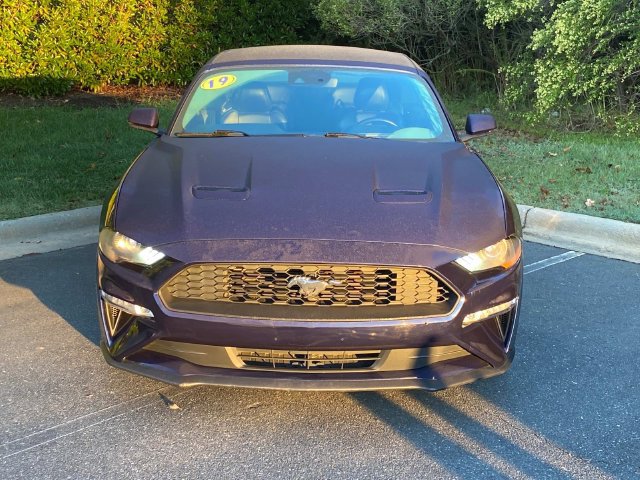 Used 2019 Ford Mustang Premium w/ Equipment Group 201A RWD image 2