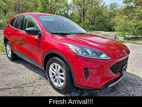 Used 2022 Ford Escape SE w/ Convenience Package AWD/4WD image 11
