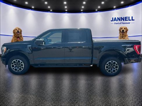 Used 2023 Ford F150 XLT w/ Equipment Group 302A High AWD/4WD image 9