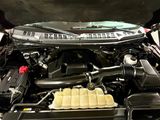 Used 2019 Ford F150 XLT w/ Equipment Group 302A Luxury image 6