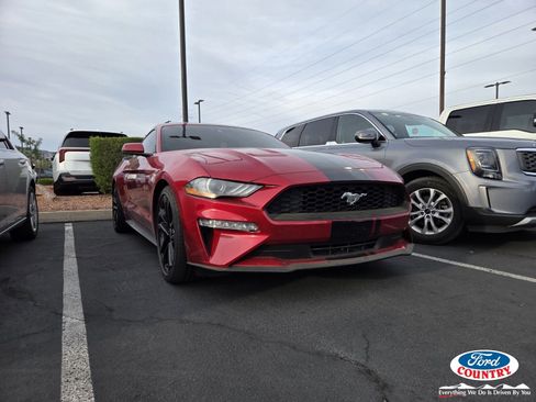 Used 2022 Ford Mustang Premium w/ Equipment Group 201A RWD image 1