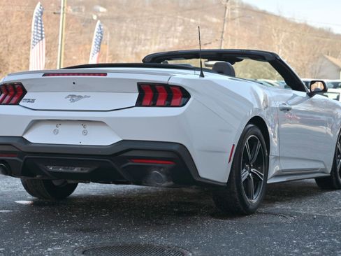 Used 2024 Ford Mustang Premium image 6