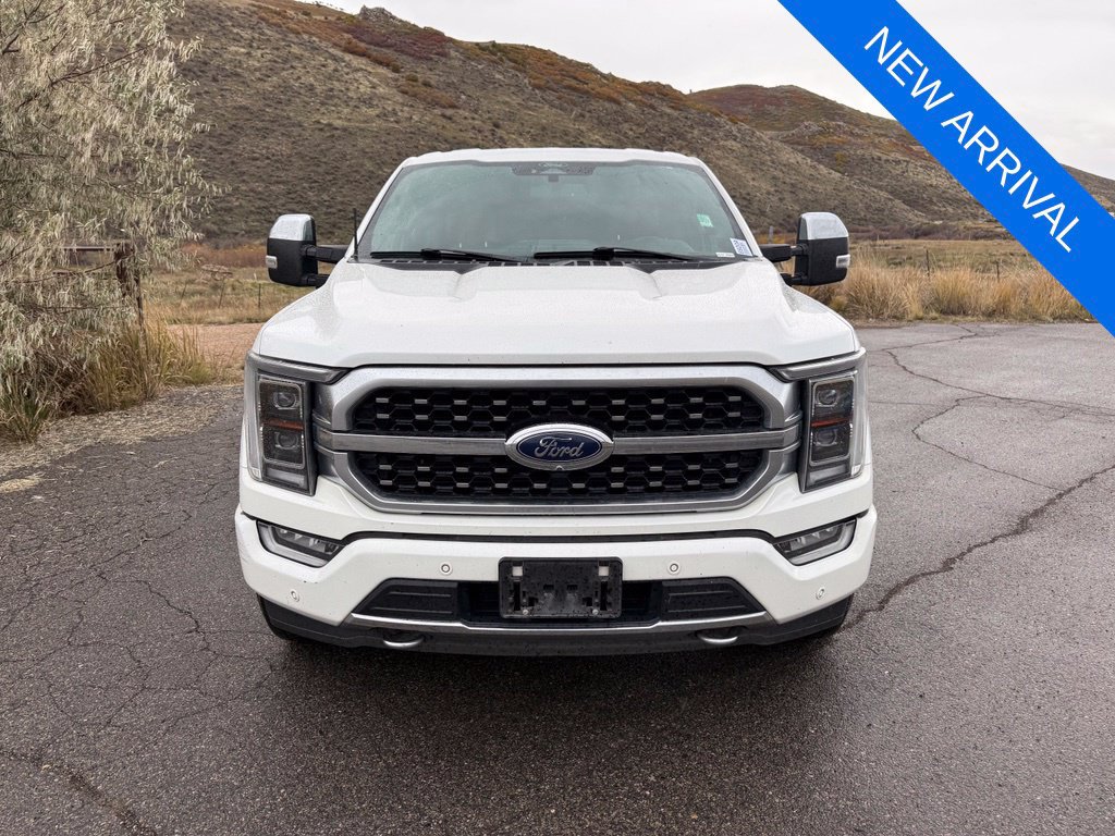 Used 2021 Ford F150 Platinum w/ Equipment Group 701A High AWD/4WD image 2