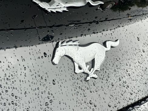 Used 2024 Ford Mustang Premium image 49