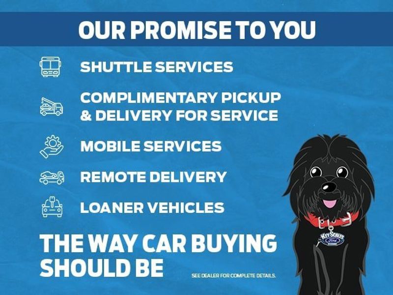 Used 2019 Ford Edge ST w/ Equipment Group 401A image 1