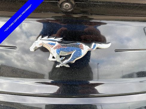 Used 2021 Ford Mustang Premium RWD image 8