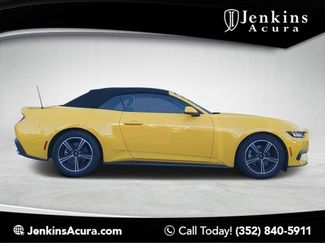 Used 2024 Ford Mustang Premium video 1