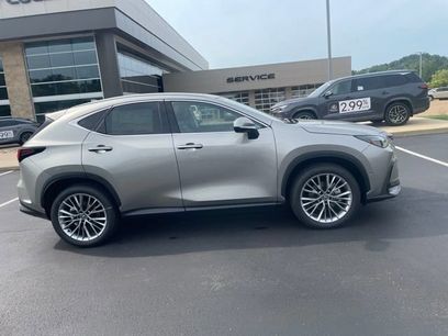 New 2026 Lexus NX 350 AWD w/ Luxury Package