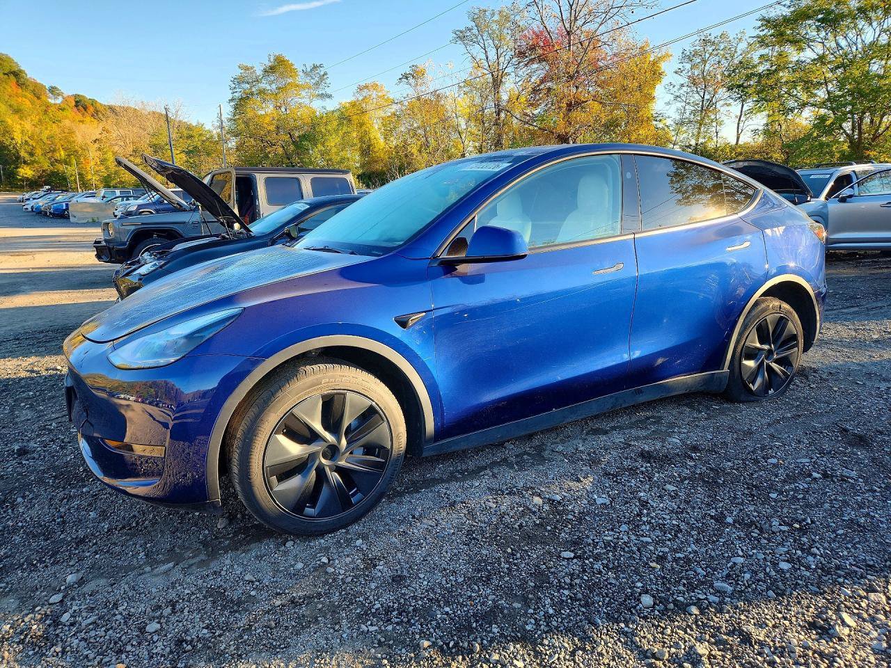 Used 2025 Tesla Model Y Long Range RWD image 2
