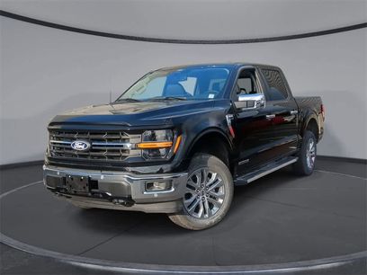 New 2025 Ford F150 XLT w/ Equipment Group 303A High