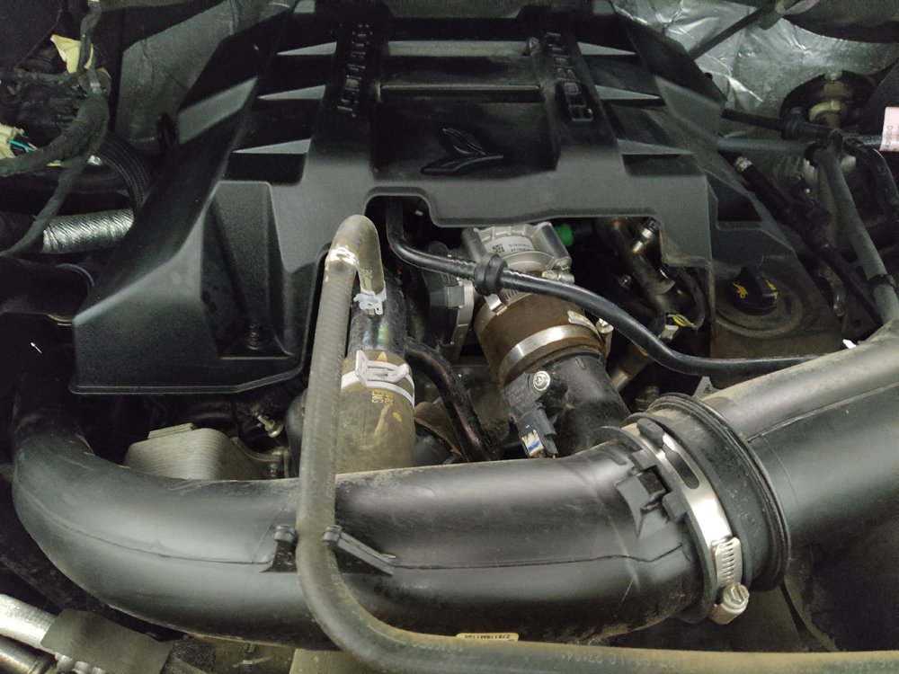 Used 2018 Ford F150 XLT RWD image 30