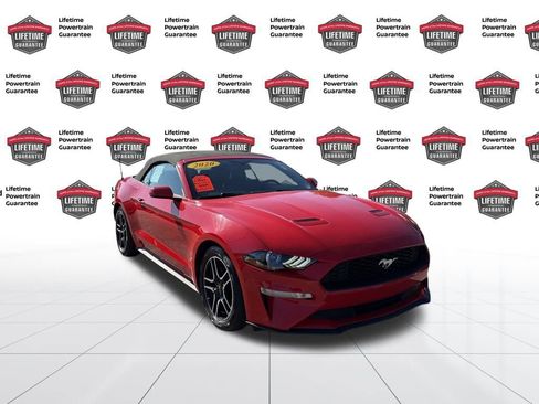 Used 2020 Ford Mustang Premium image 9