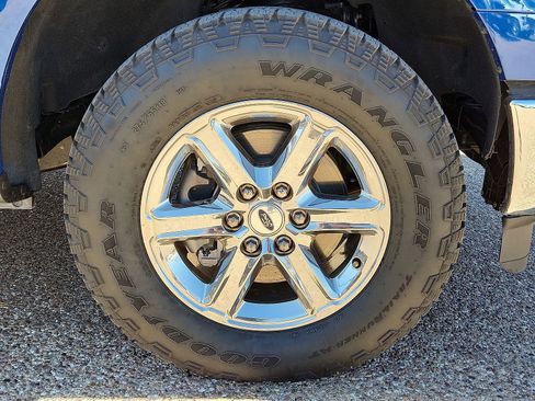 Used 2025 Ford F150 XLT w/ Equipment Group 301A Standard image 7