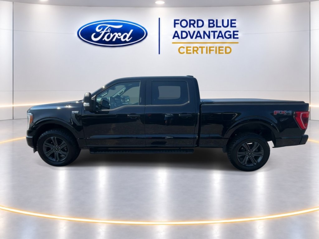 Certified 2023 Ford F150 XLT w/ Equipment Group 302A High AWD/4WD image 6