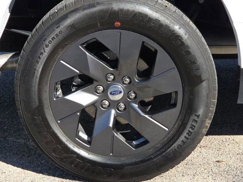 New 2025 Ford F150 STX w/ Equipment Group 200A image 9