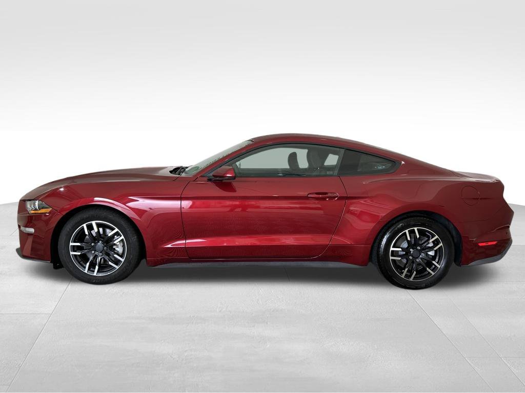 Used 2019 Ford Mustang Coupe RWD image 2