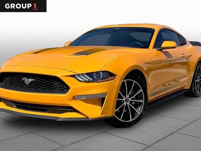 Used 2022 Ford Mustang Coupe w/ Equipment Group 101A