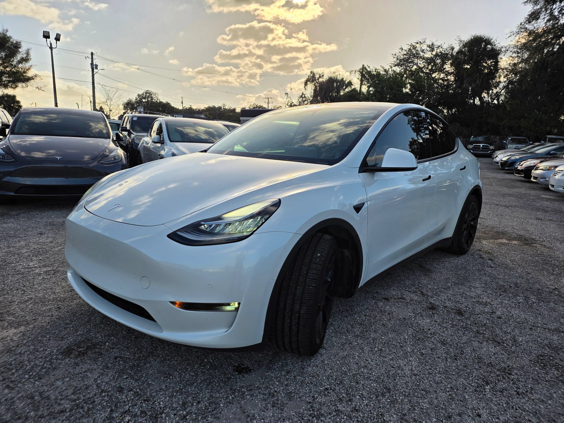 Used 2020 Tesla Model Y Long Range AWD/4WD image 3