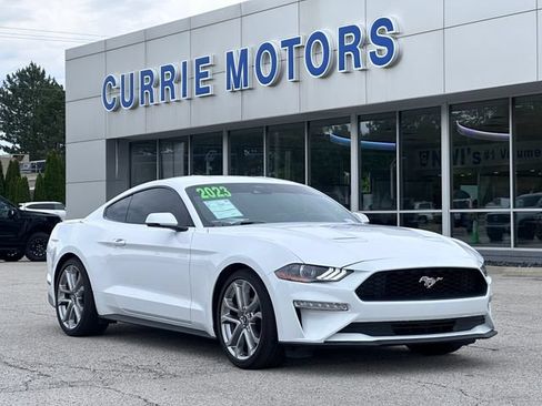 Certified 2023 Ford Mustang Premium w/ Equipment Group 201A RWD image 1