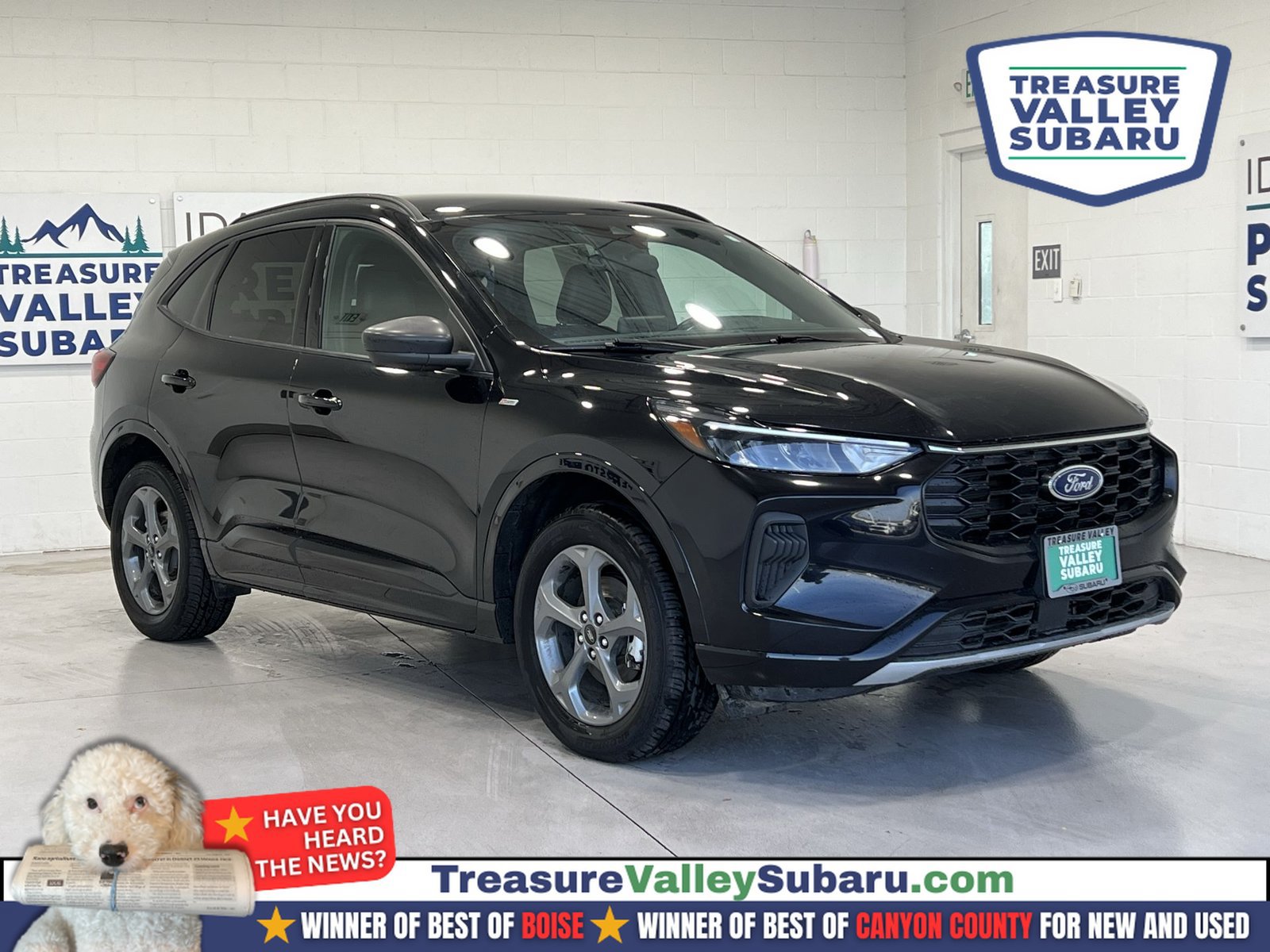 Used 2024 Ford Escape ST-Line AWD/4WD image 1