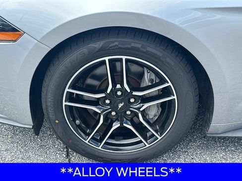 Certified 2021 Ford Mustang GT Premium RWD image 13