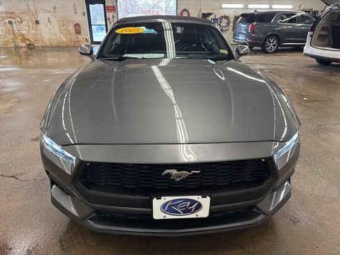 Used 2025 Ford Mustang Premium RWD image 2