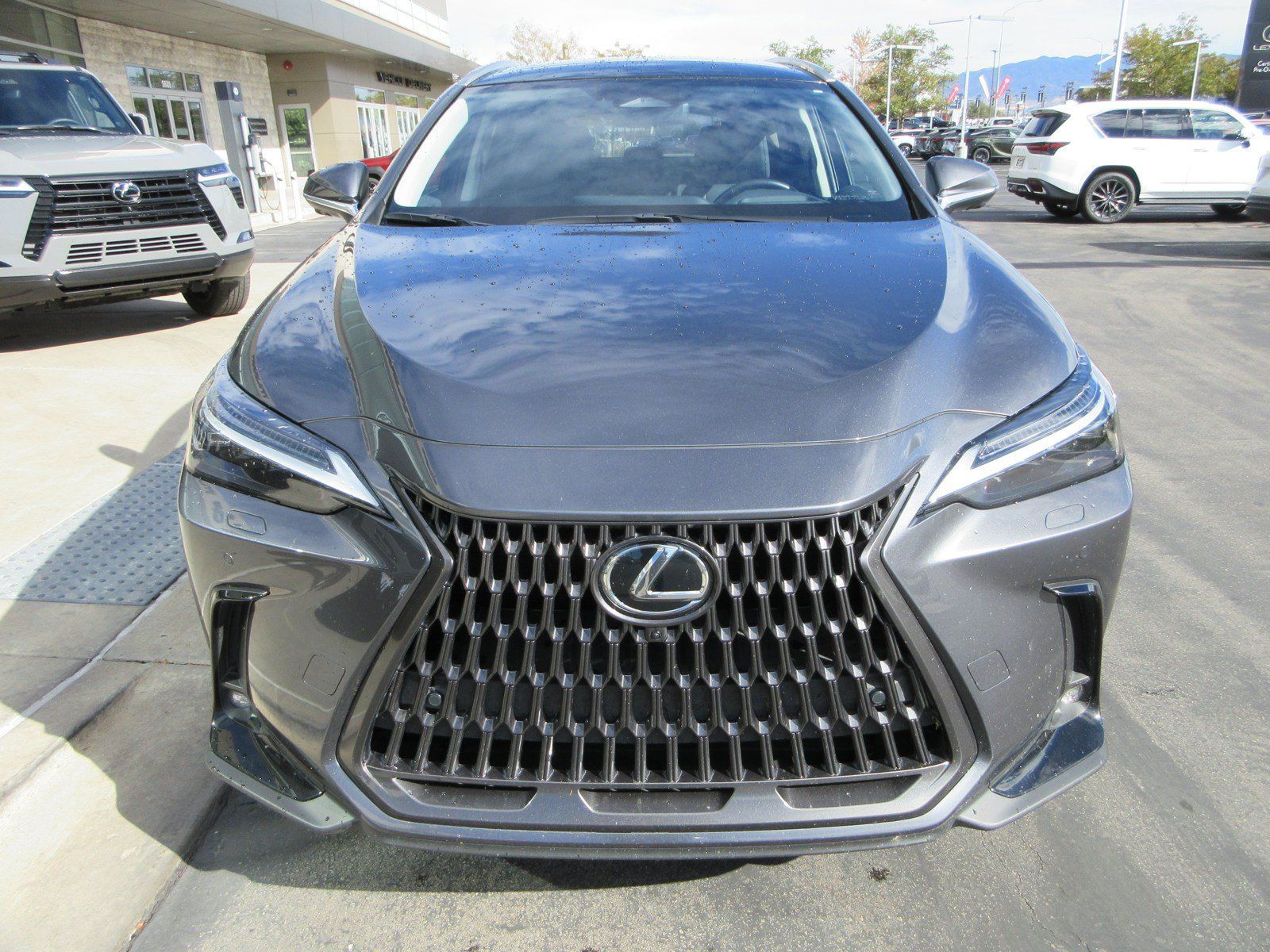 Used 2025 Lexus NX 350h AWD w/ Accessory Package (2T) image 14