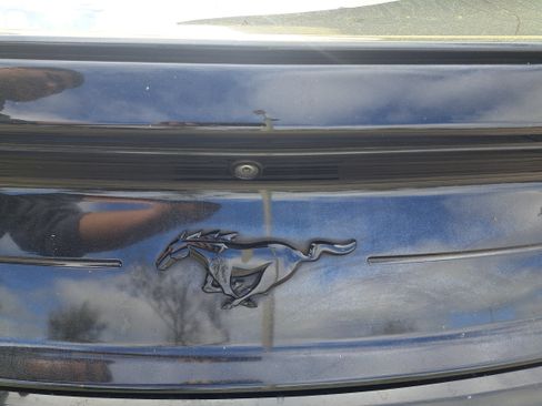 Used 2020 Ford Mustang EcoBoost w/ Equipment Group 101A image 10