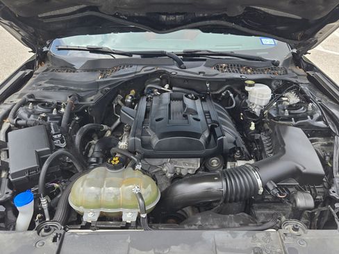 Used 2019 Ford Mustang Premium w/ Equipment Group 201A RWD image 27