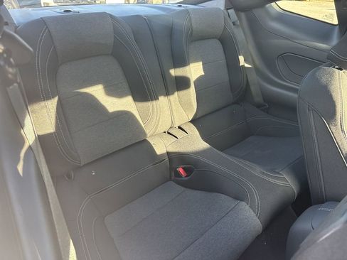 New 2026 Ford Mustang Coupe w/ Mustang Nite Pony Package image 15
