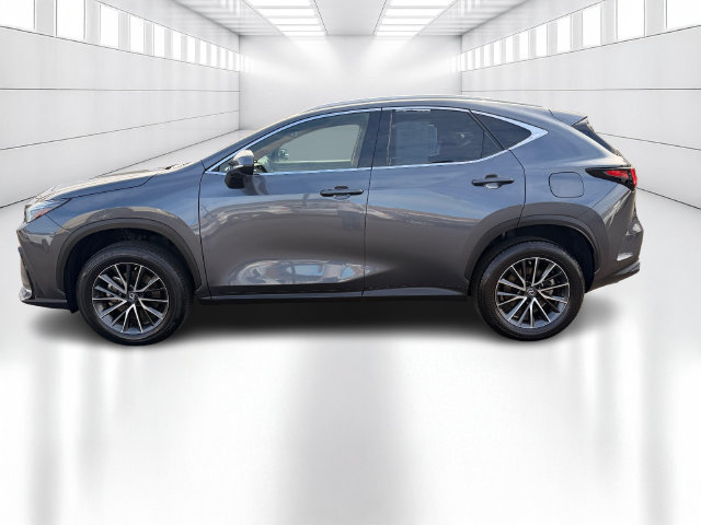 Certified 2023 Lexus NX 250 AWD image 10