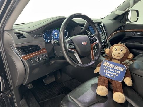 Used 2019 Cadillac Escalade Luxury image 9