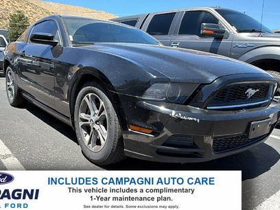 Used 2014 Ford Mustang Premium w/ Equipment Group 201A