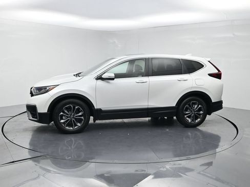 Used 2020 Honda CR-V EX-L image 3