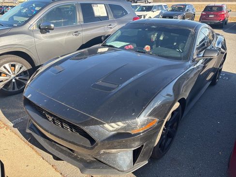 Used 2023 Ford Mustang Premium w/ Equipment Group 201A image 2