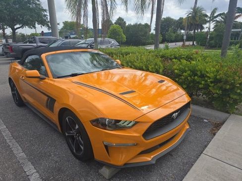 Used 2019 Ford Mustang Convertible RWD image 11