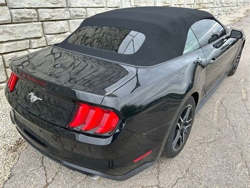 Used 2023 Ford Mustang Convertible w/ Equipment Group 101A RWD image 5